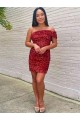Sleeveless One Shoulder Velvet Sequin Burgundy Short Prom Dress Leicester